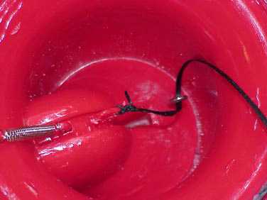 sbn4.jpg (9626 bytes)