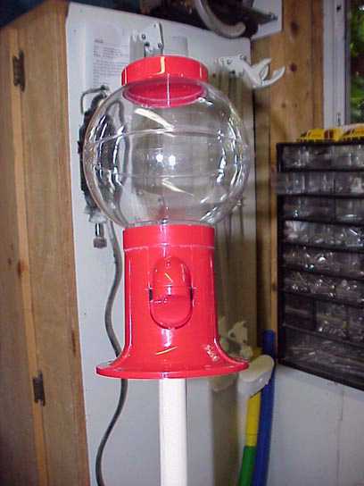 sbn8.jpg (24323 bytes)